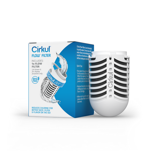 Flow Filter (GV45)